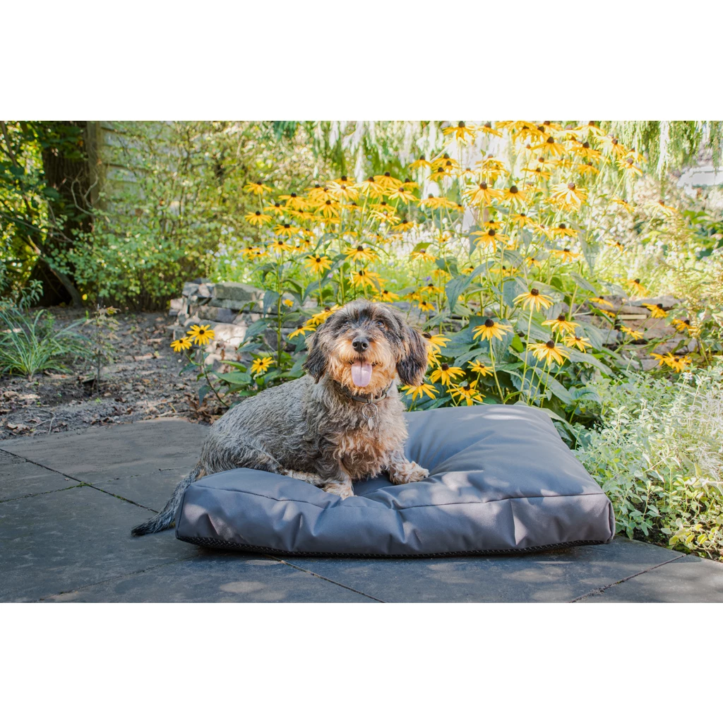 Let's Sleep Cushy Cloud Hondenkussen Buiten Antraciet - Afbeelding 2