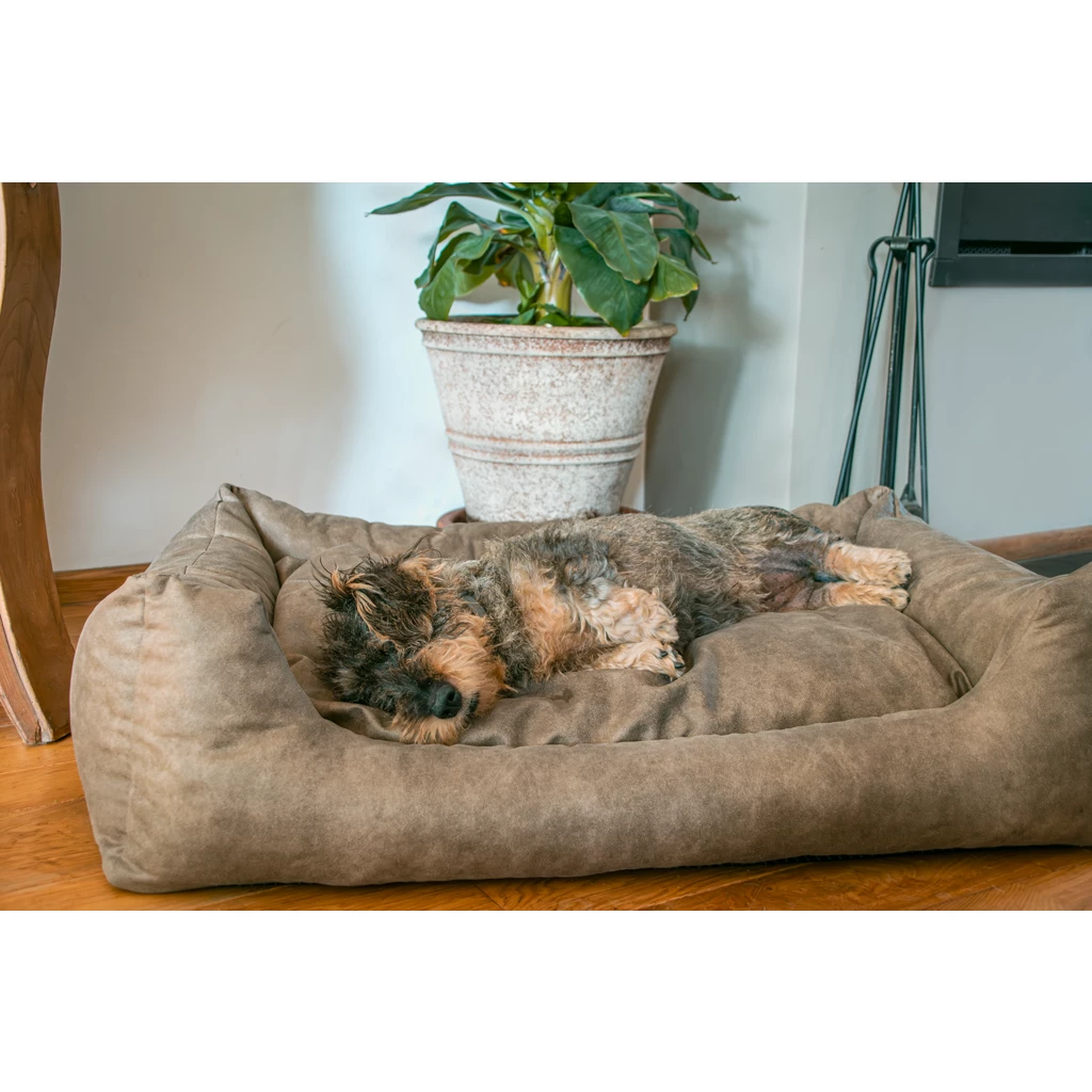 Let's Sleep Sweet Dreams Hondenmand Met Kussen Taupe - Afbeelding 2