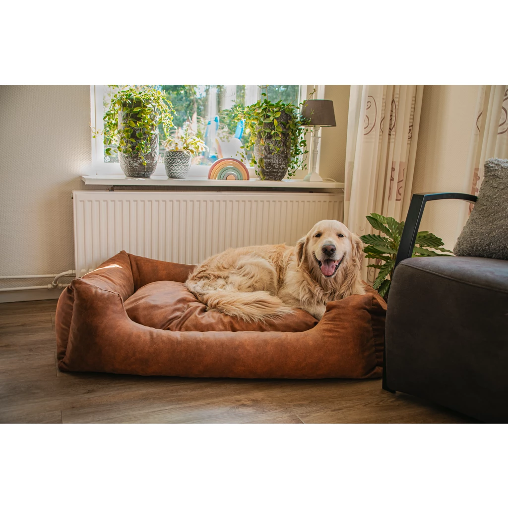Let's Sleep Sweet Dreams Hondenmand Met Kussen Taupe - Afbeelding 3